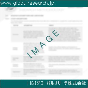 グローバルリサーチ調査資料のイメージ
